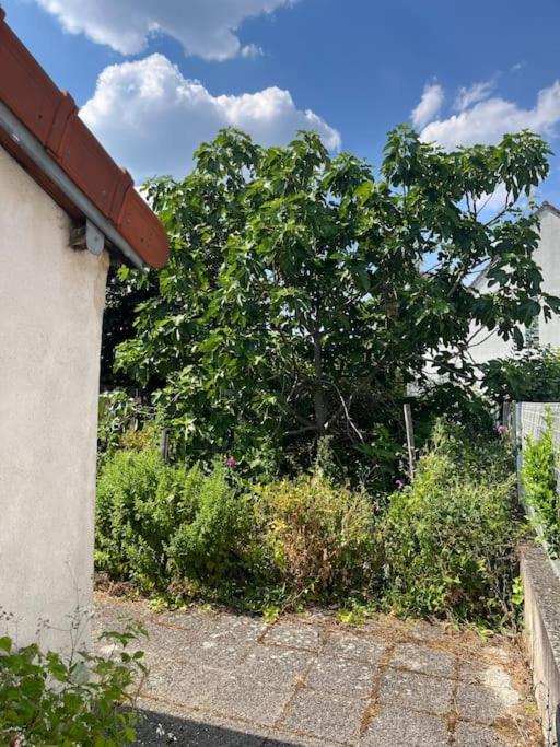 Lovely House Close To Paris Vitry-sur-Seine Esterno foto